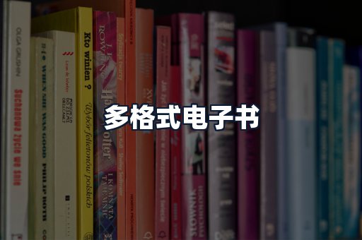 多格式电子书